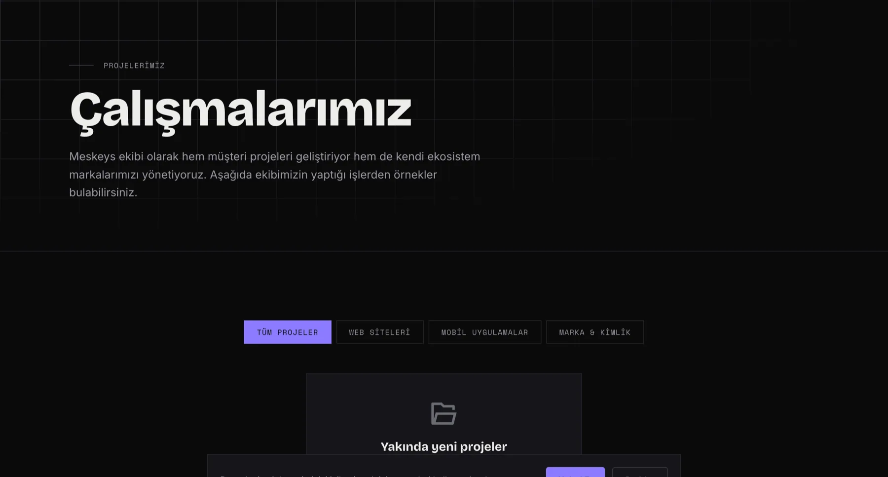 Meskeys projeler sayfası
