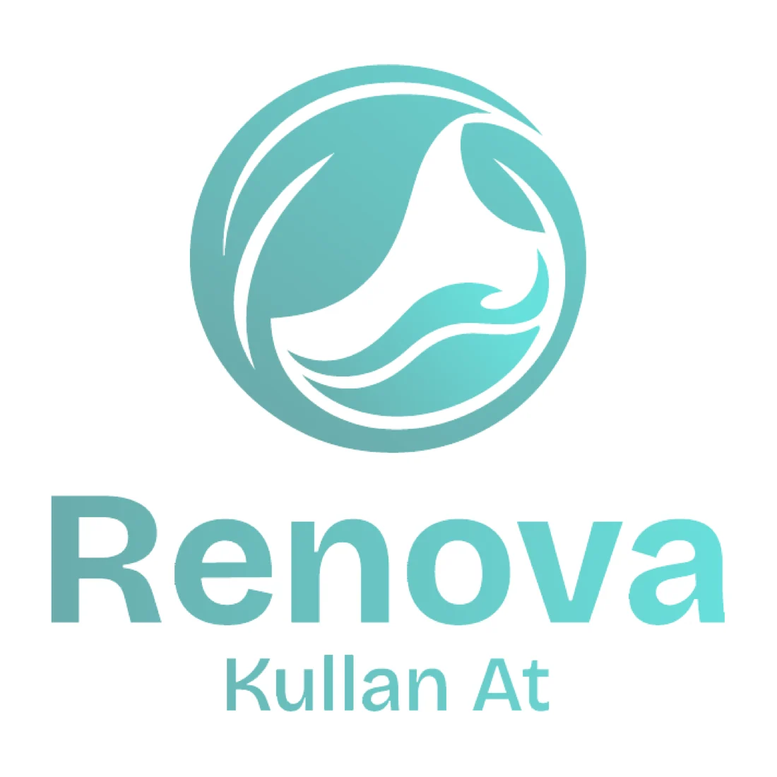 Renova renk varyantı
